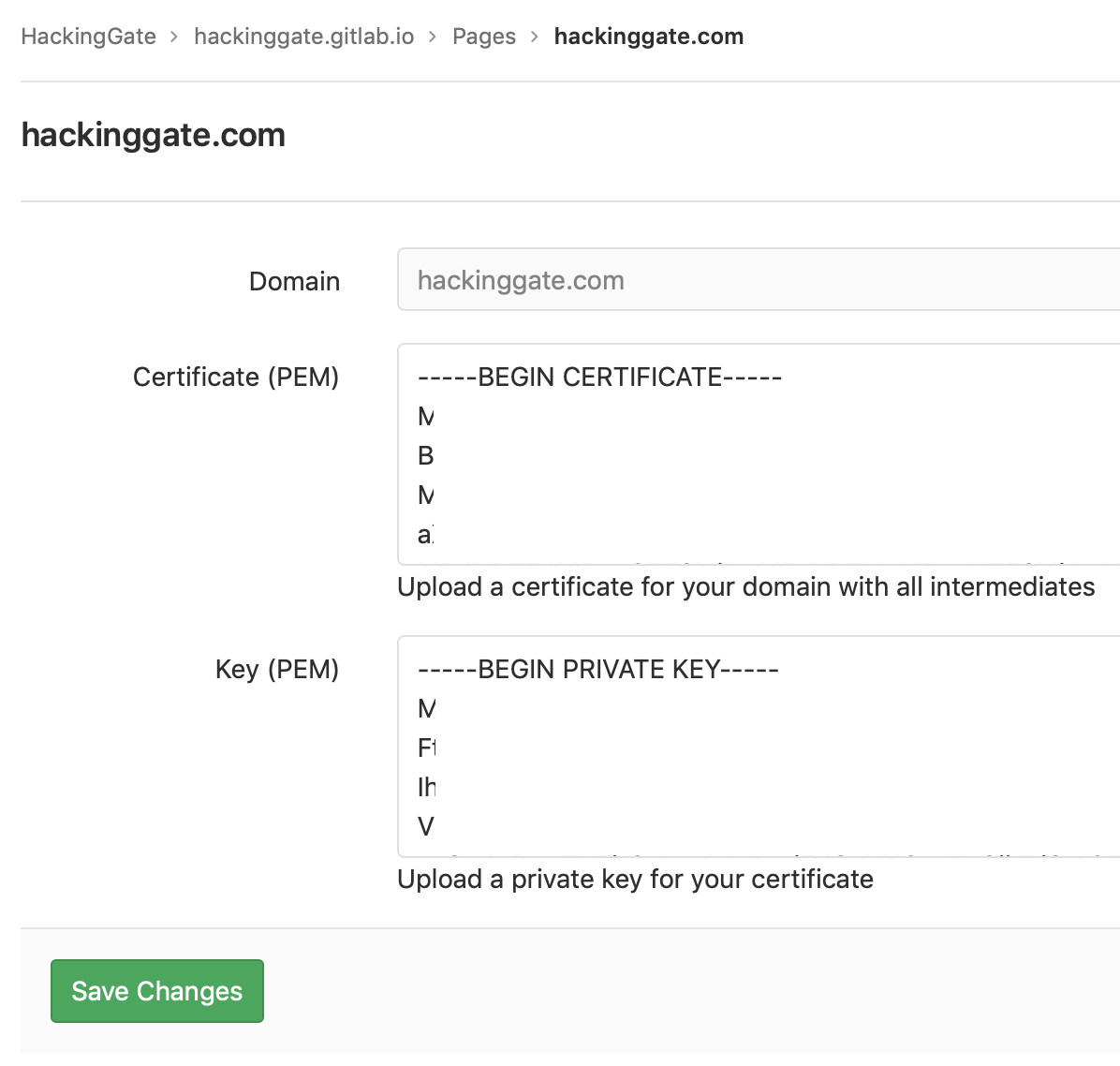 GitLab-custom-certificate.png